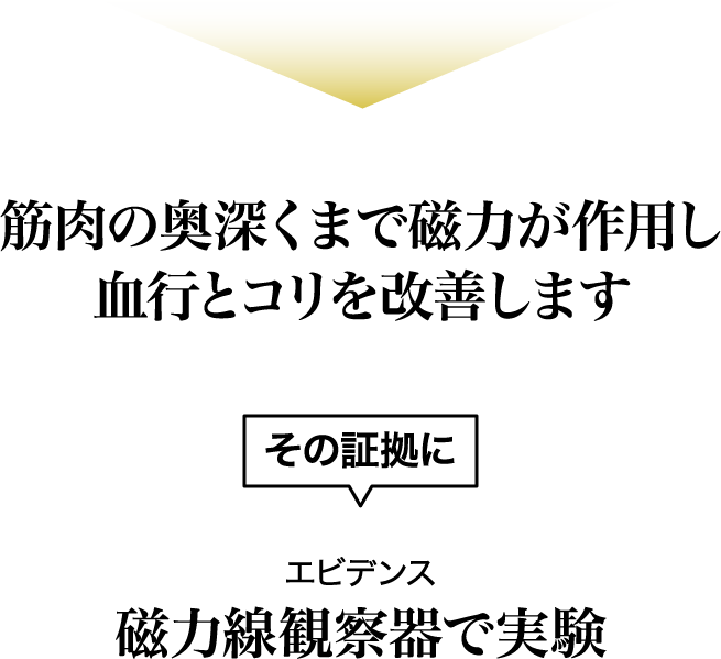 筋肉の奥深くまで磁力が作用し血行とコリを改善します
