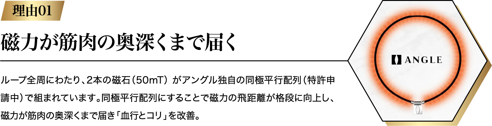 磁力が筋肉の奥深くまで届く