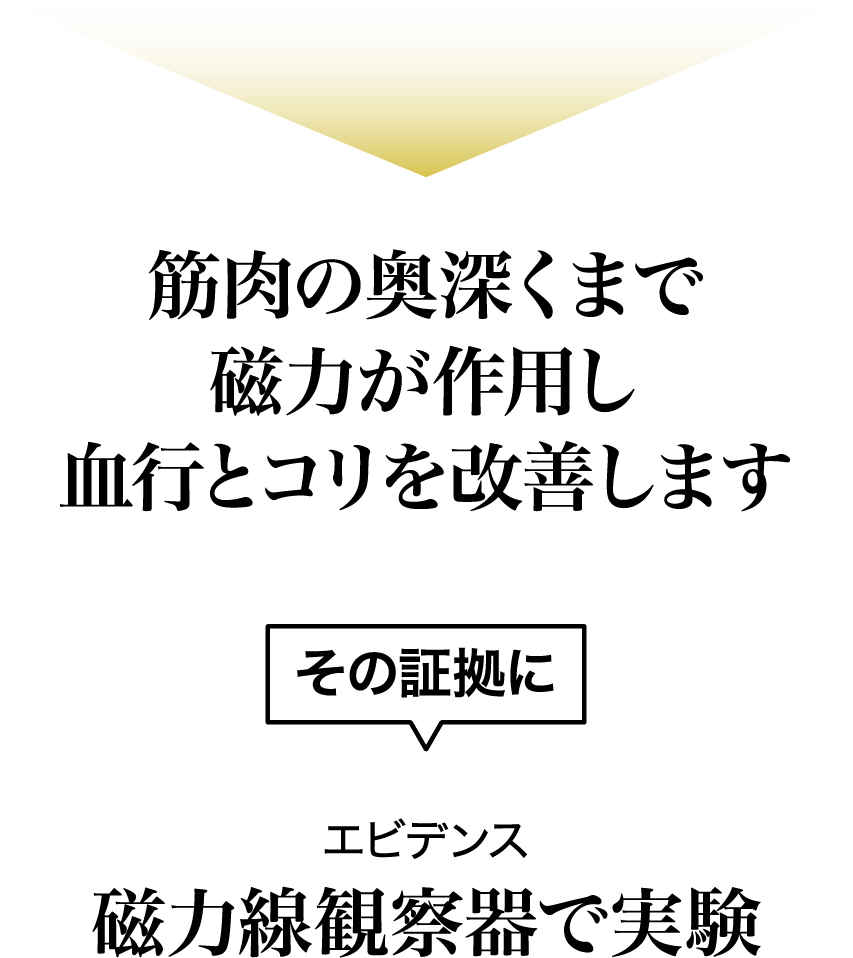 筋肉の奥深くまで磁力が作用し血行とコリを改善します